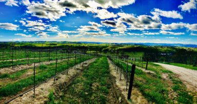 photo of the el pomar district of Paso Robles, CA